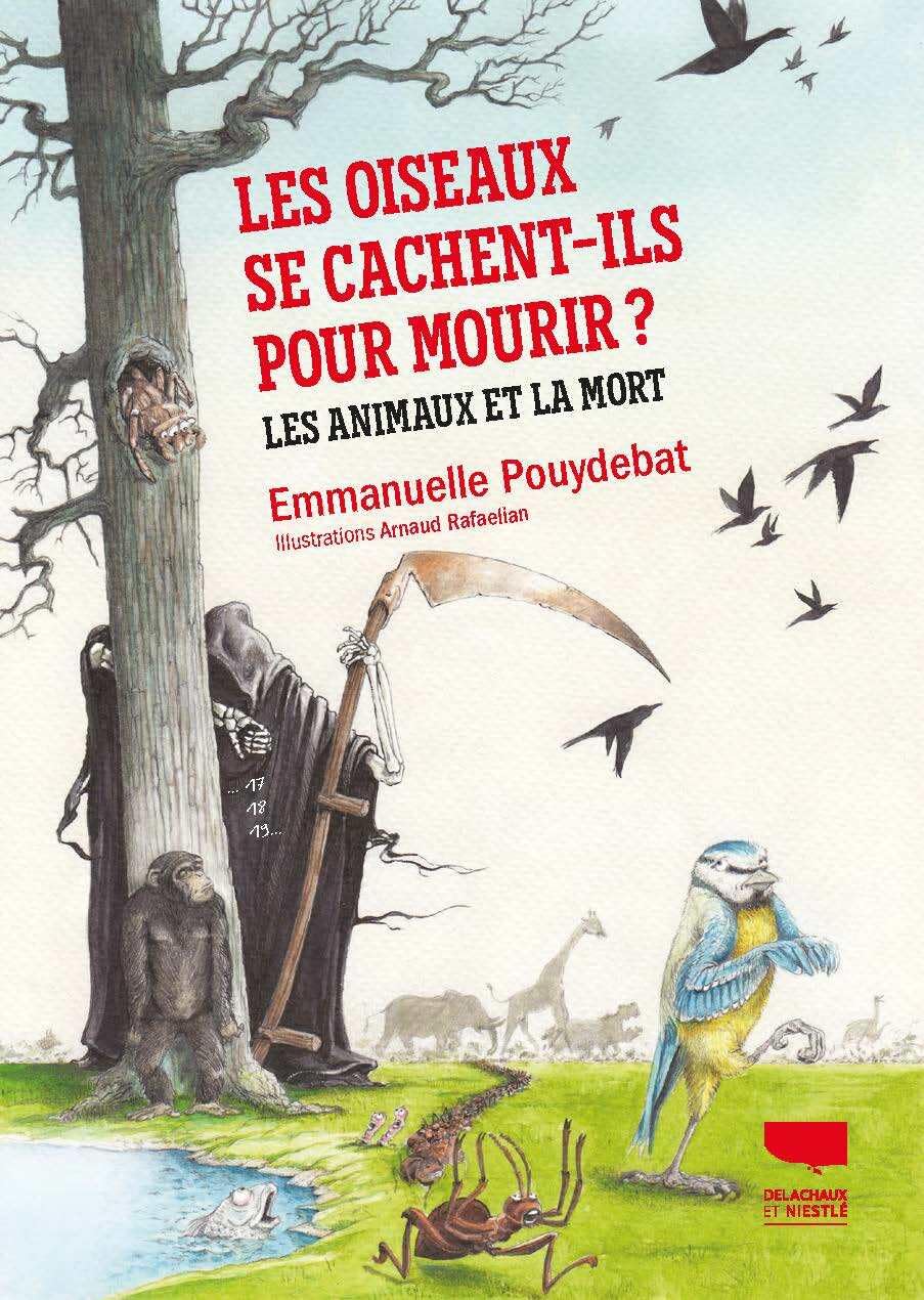 Emmanuelle Pouydebat