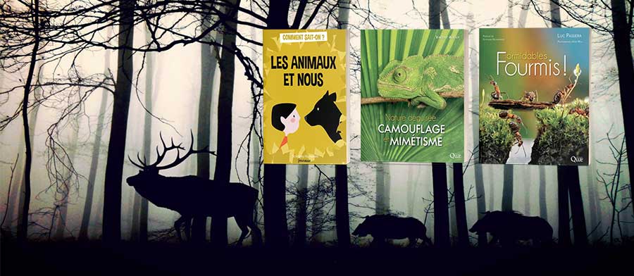 Photographie animaux