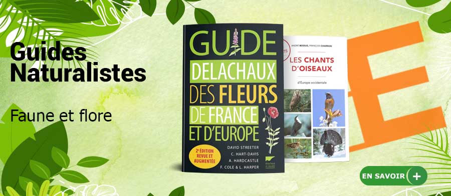 Livres Activités d'été