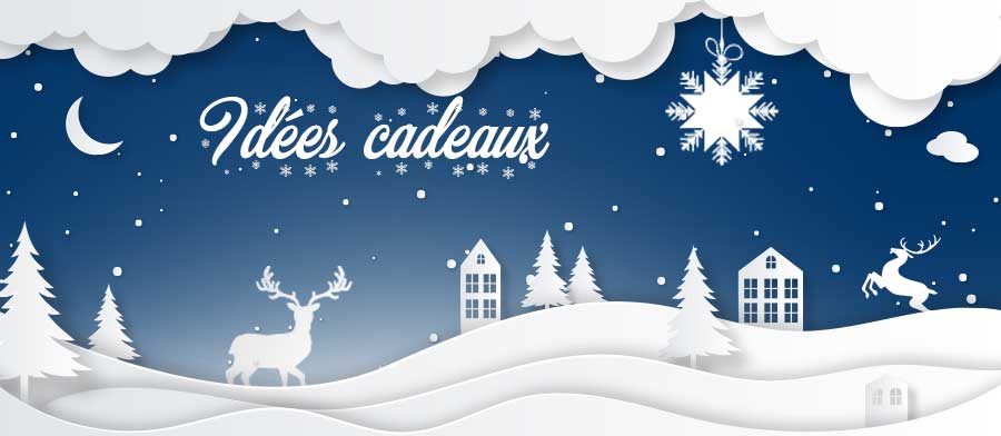 Vtrine de Noël Idées cadeaux2022