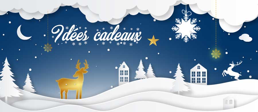 Librairie Vitrine de Noël Idées cadeaux 2023 