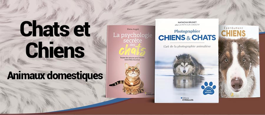 animaux domestiques