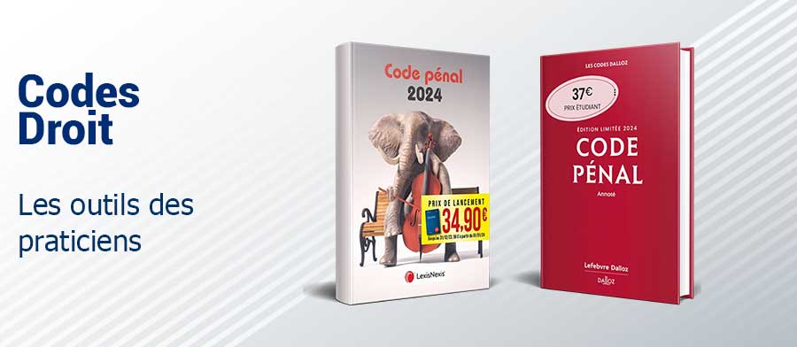 Code civil 2024 - jaquette éléphant ballon - Laurent Leveneur (Sous -  Librairie Eyrolles